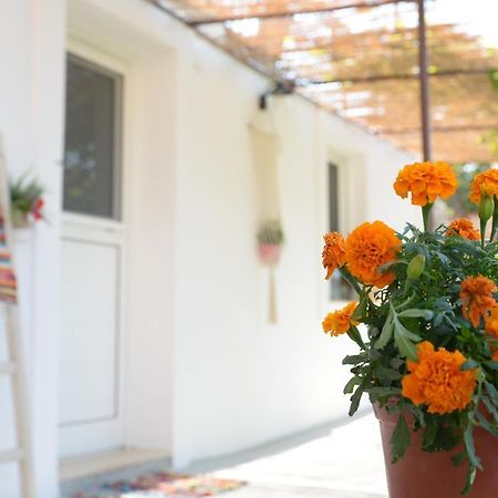 Myrtus Guest House Myrties Bagian luar foto