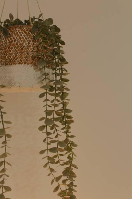 Myrtus Guest House Myrties Bagian luar foto