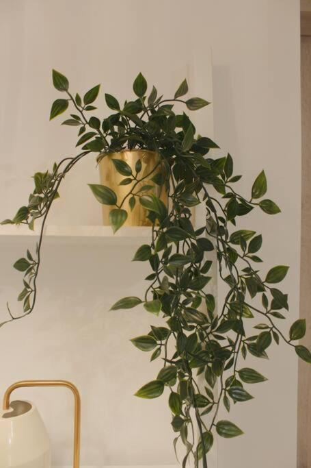 Myrtus Guest House Myrties Bagian luar foto